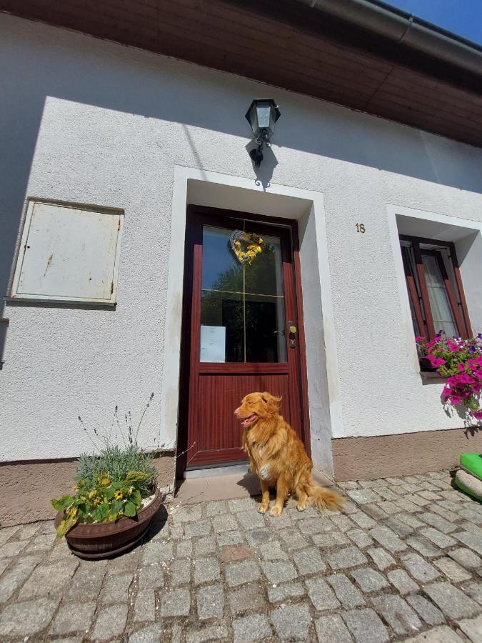Penzion Na Výsluní Strasin Exterior foto