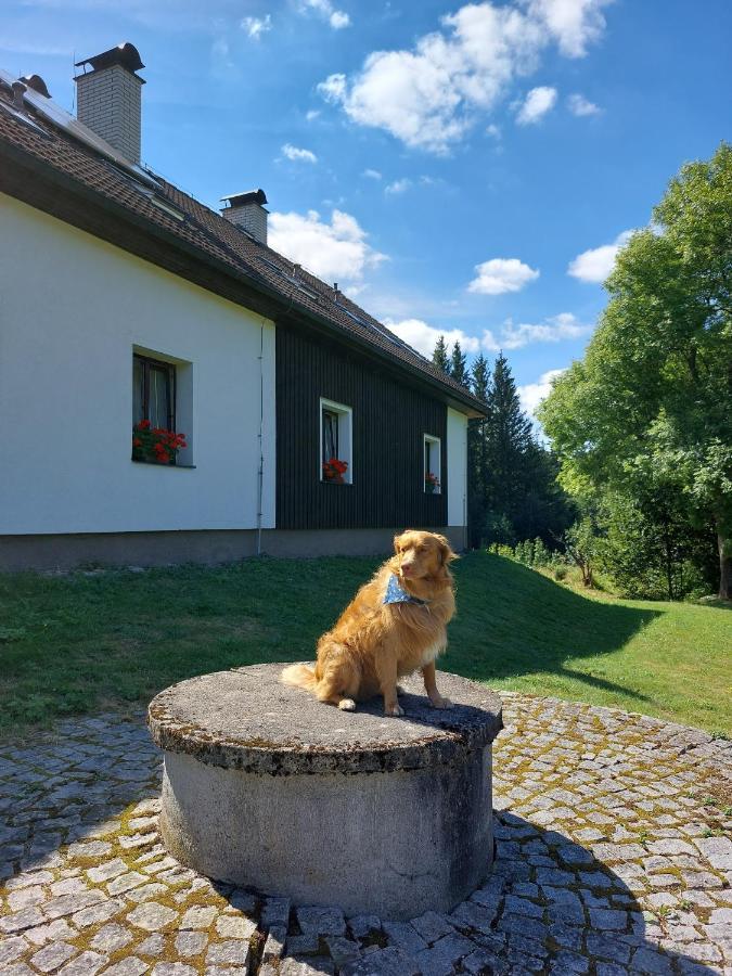 Penzion Na Výsluní Strasin Exterior foto